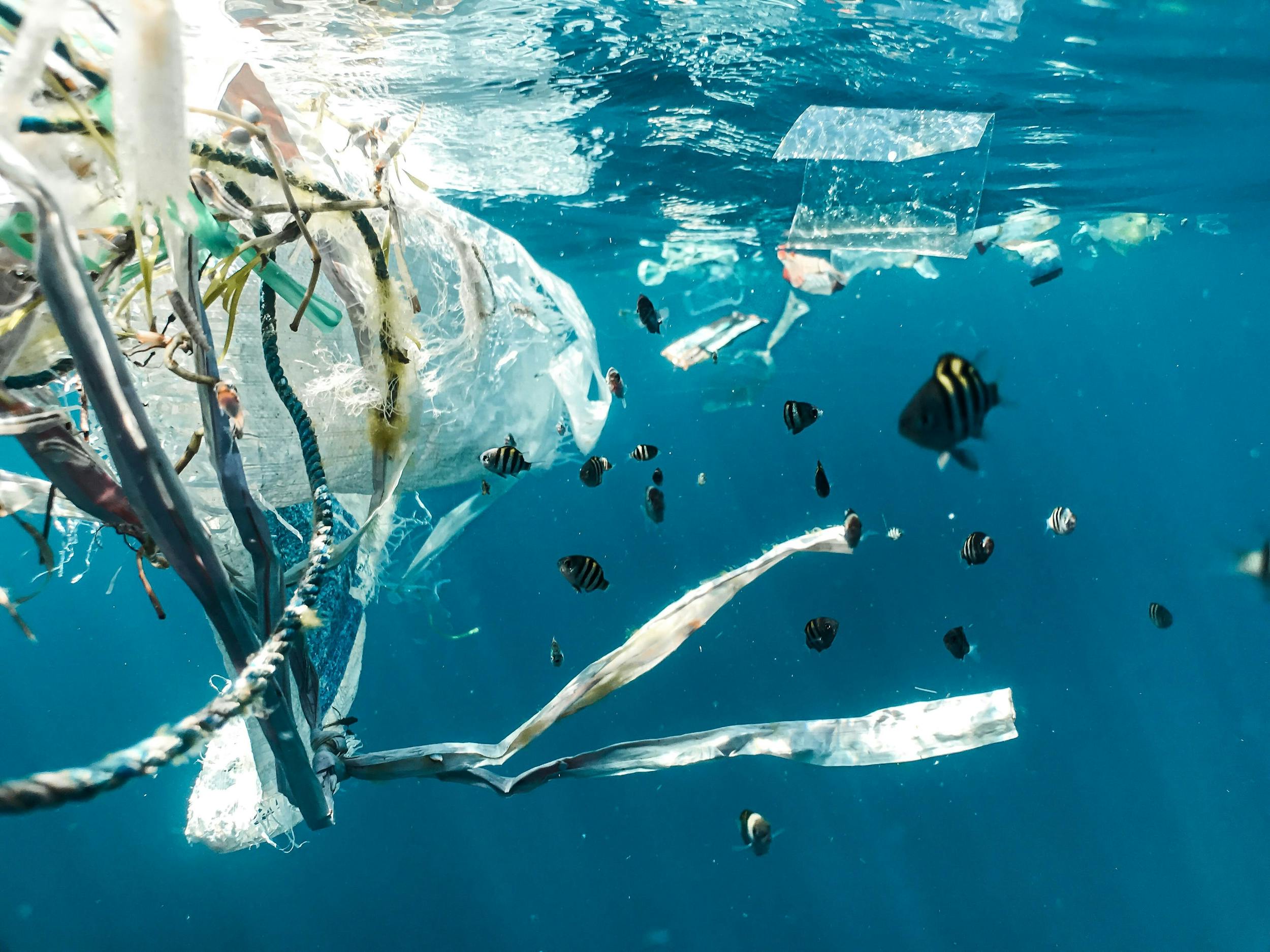 Plastic trash in ocean