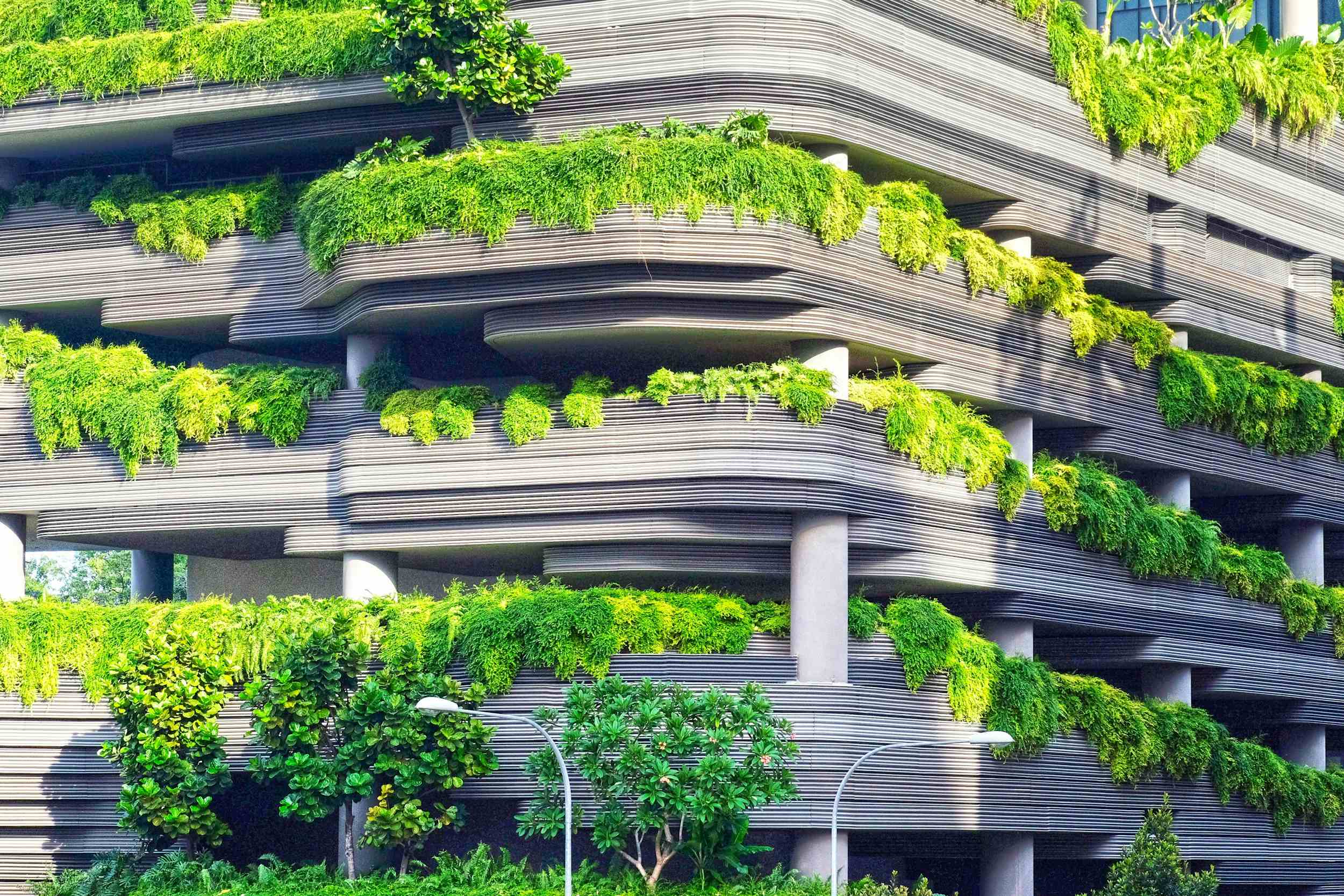 Concrete building covered in plants