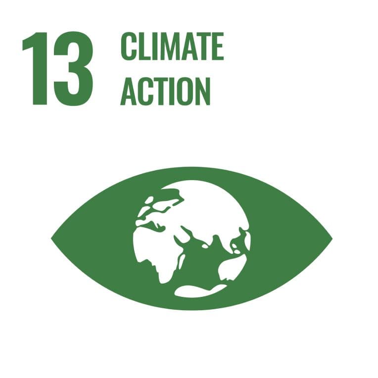 Sustainable Development Goal 13