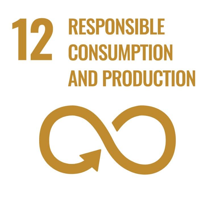 Sustainable Development Goal 12