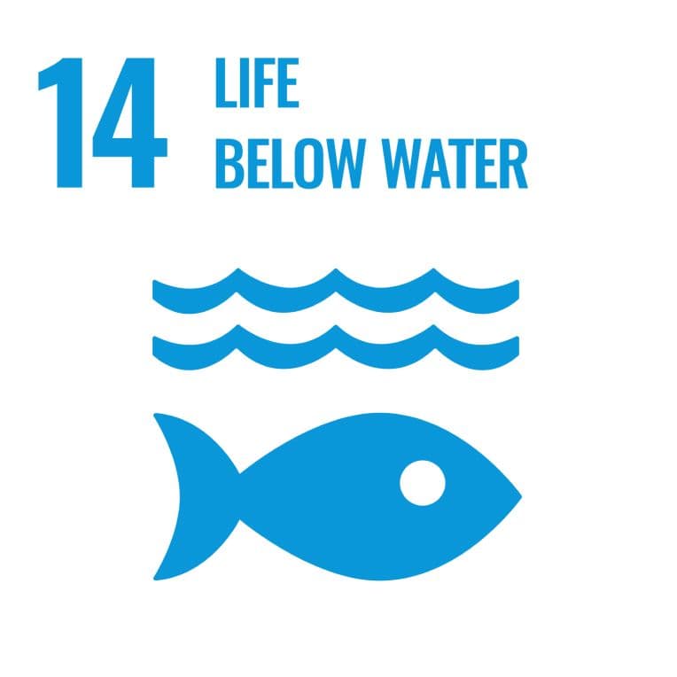 Sustainable Development Goal 14